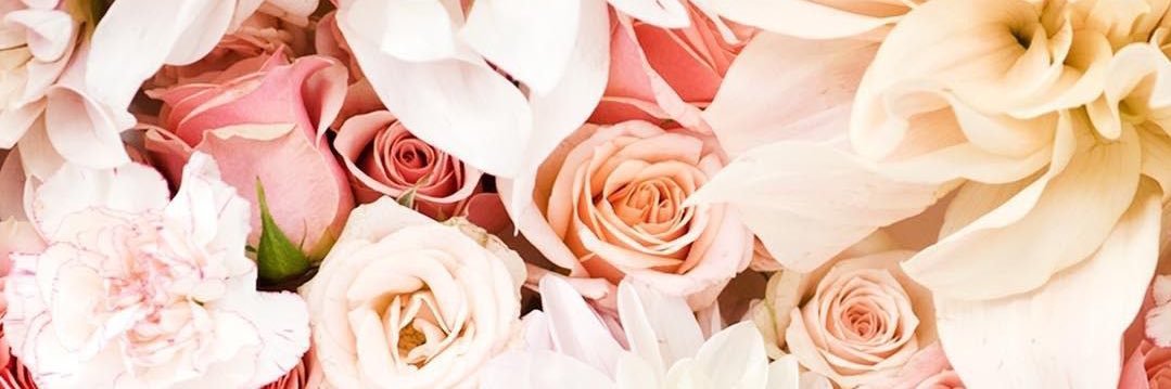 kaaiitlinnn's profile banner image