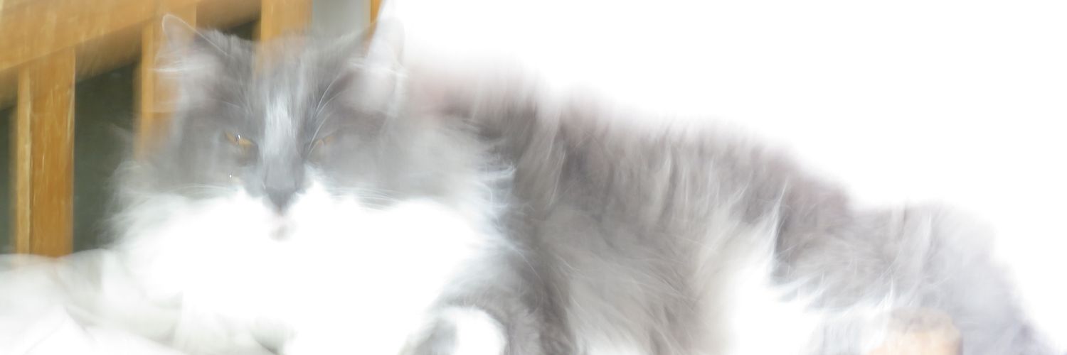 vikingurst's profile banner image