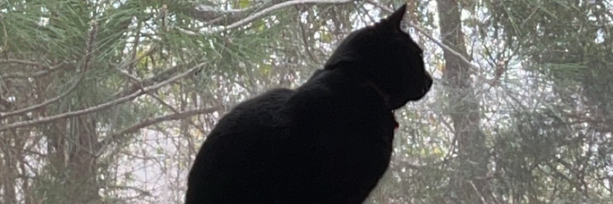 kyleheelys_'s profile banner image