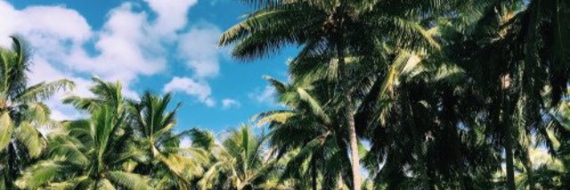alanatui's profile banner image
