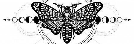 MizzAm91's profile banner image