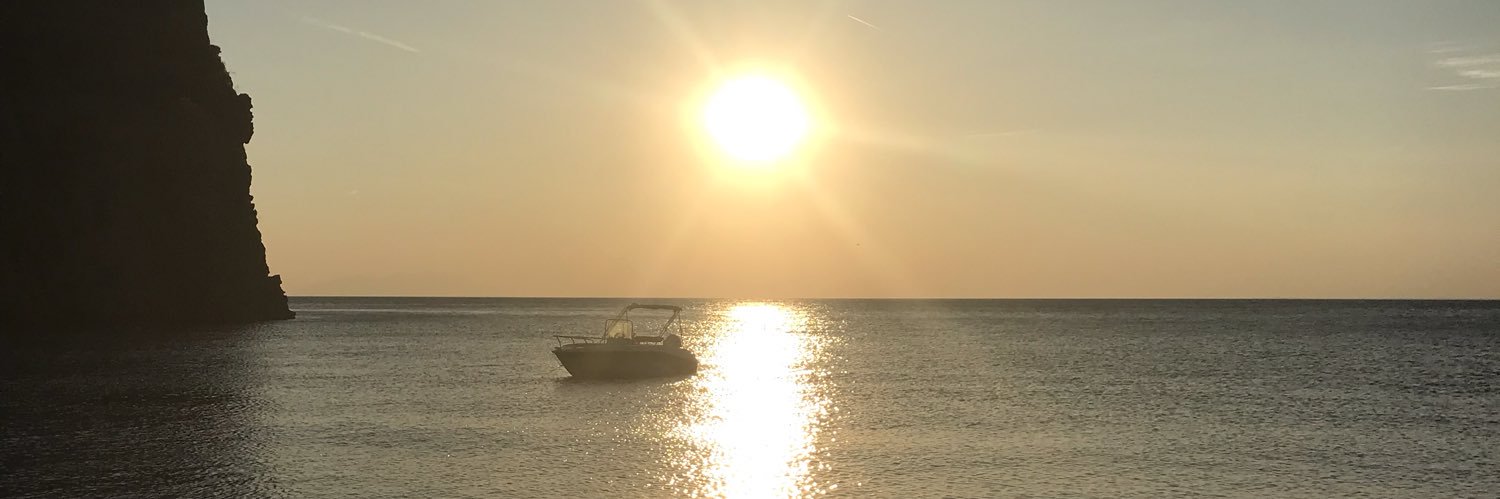 swdkoc's profile banner image