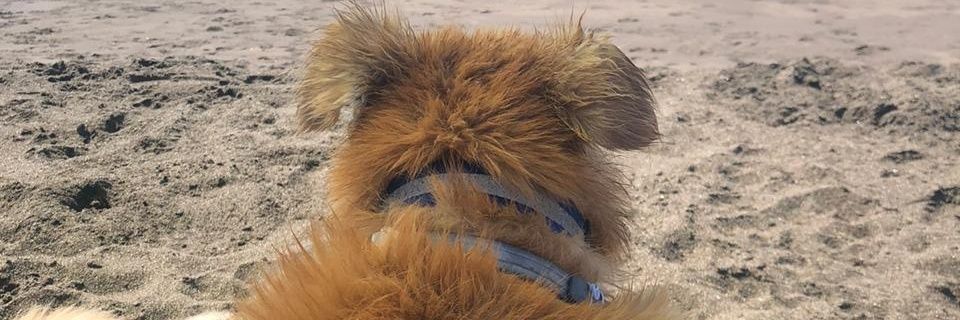 so_gabys's profile banner image