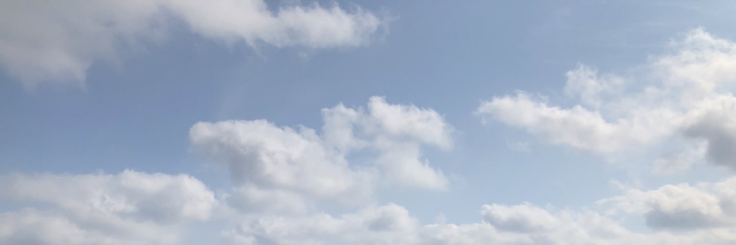 aída esmeralda ʕっ•ᴥ•ʔっ banner