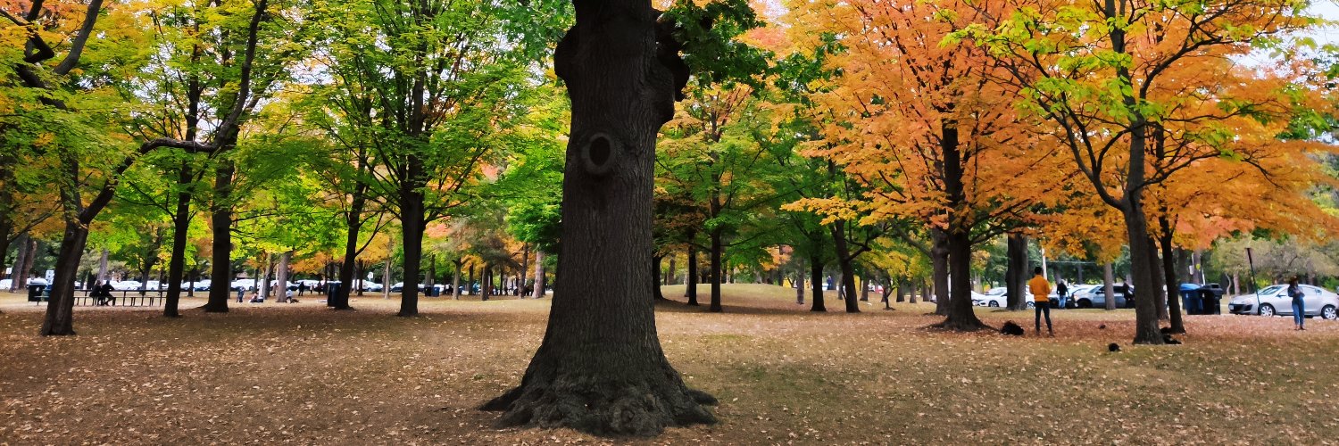 Rafael Rodrigues banner