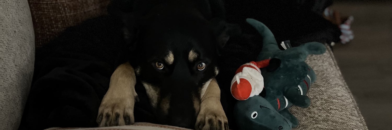 _NolanHernandez's profile banner image