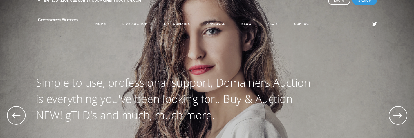 DomainerAuction's profile banner image
