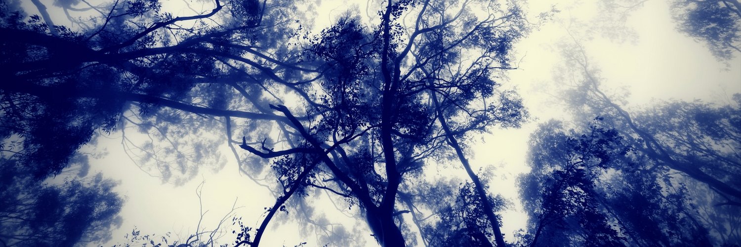 EnidMarie's profile banner image