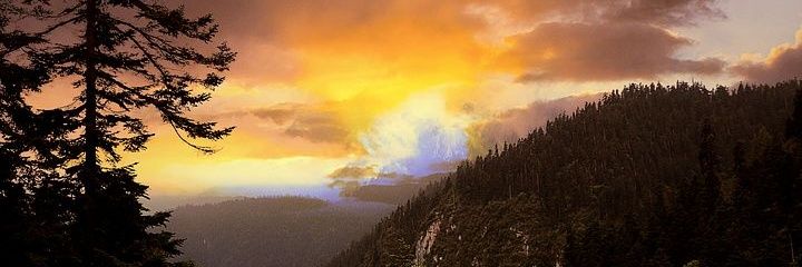 LadyPatu's profile banner image