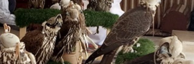 moba756's profile banner image