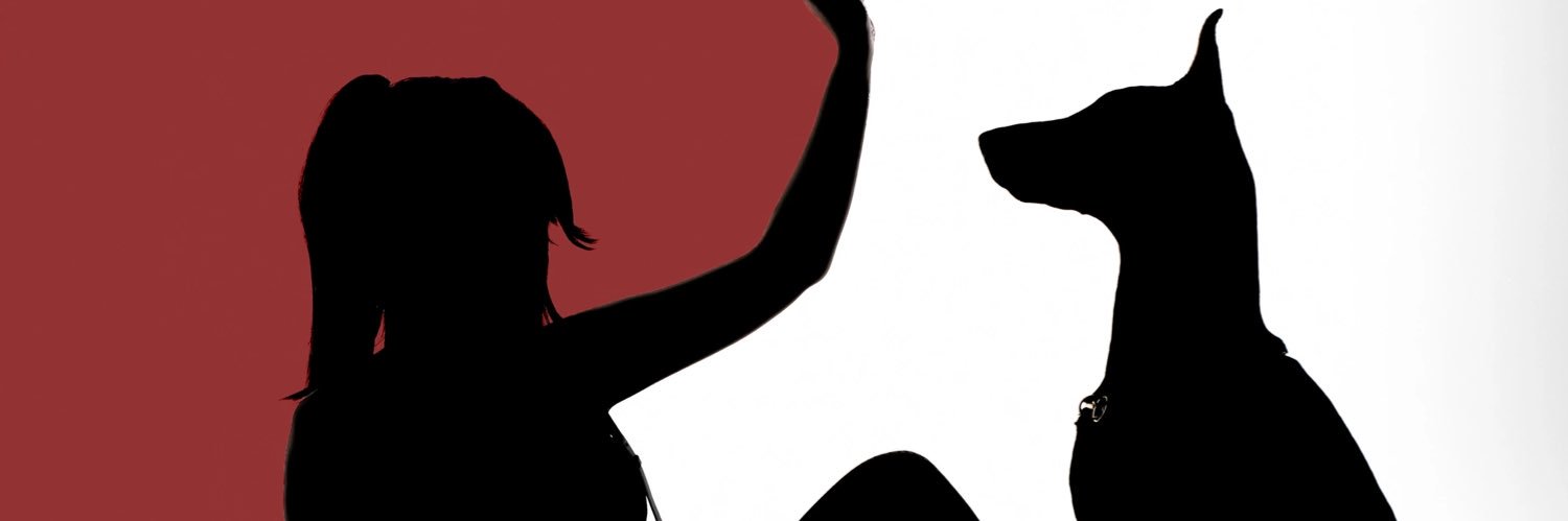 thyracosplay's profile banner image