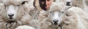 cattlecaller19's profile banner image