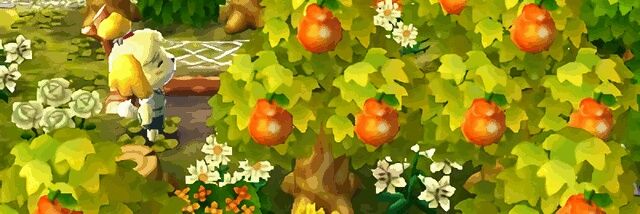Danielausabotas's profile banner image