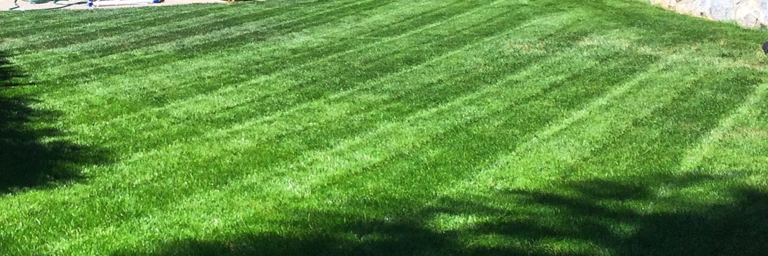 Cultivated Balance banner