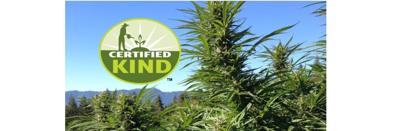 CertifiedKind's profile banner image