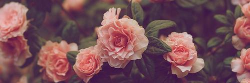 lipsdonttell's profile banner image
