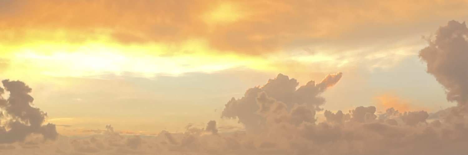 tekillahoe's profile banner image
