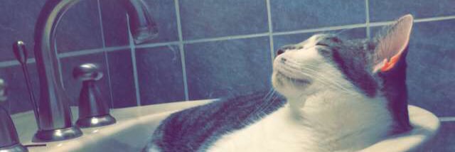 Brianaa3's profile banner image