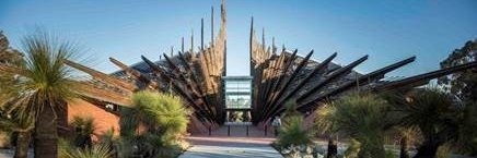 Caroline Finch AO banner