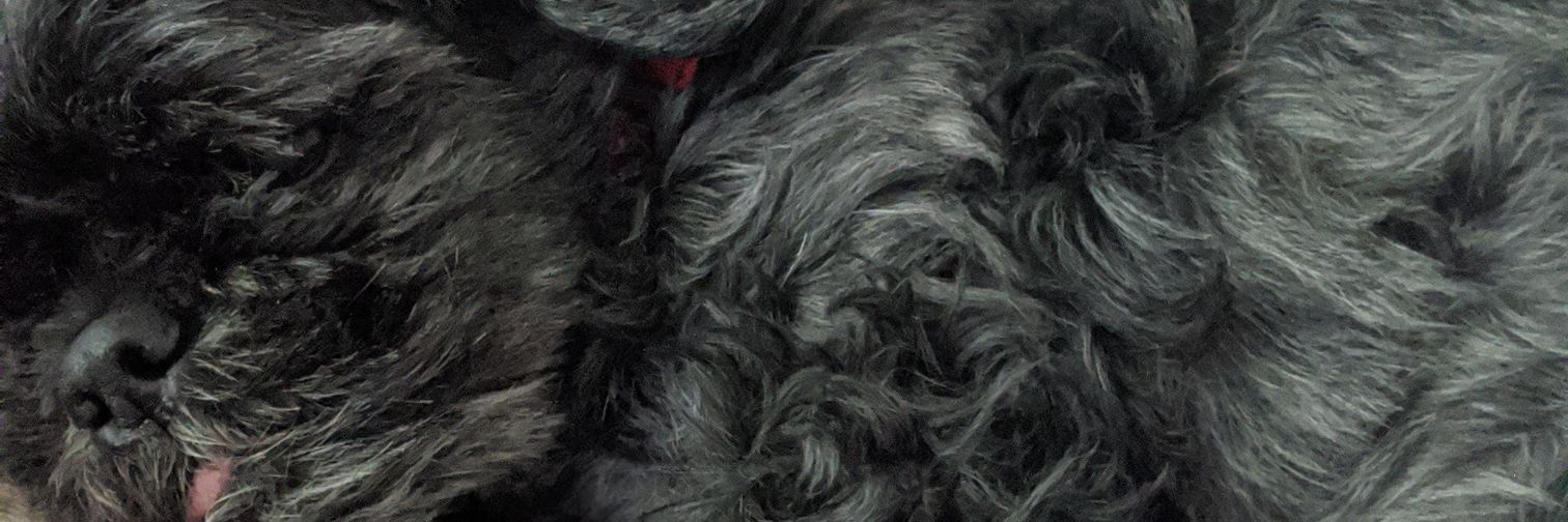 CalebRea's profile banner image