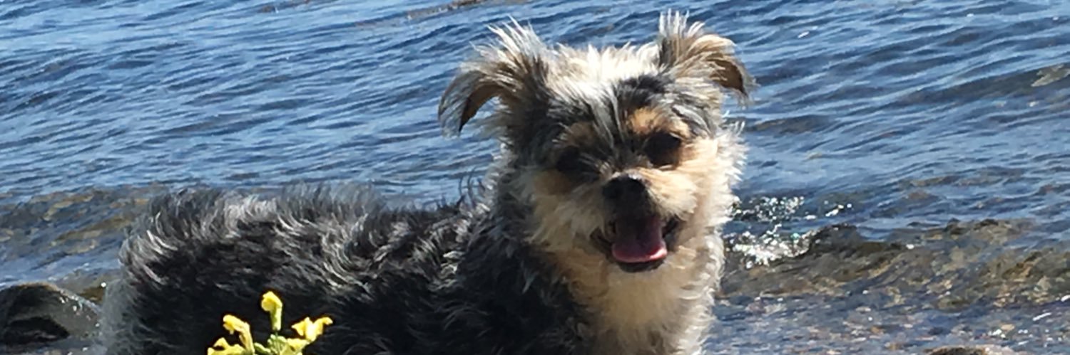 Stormi4Life's profile banner image