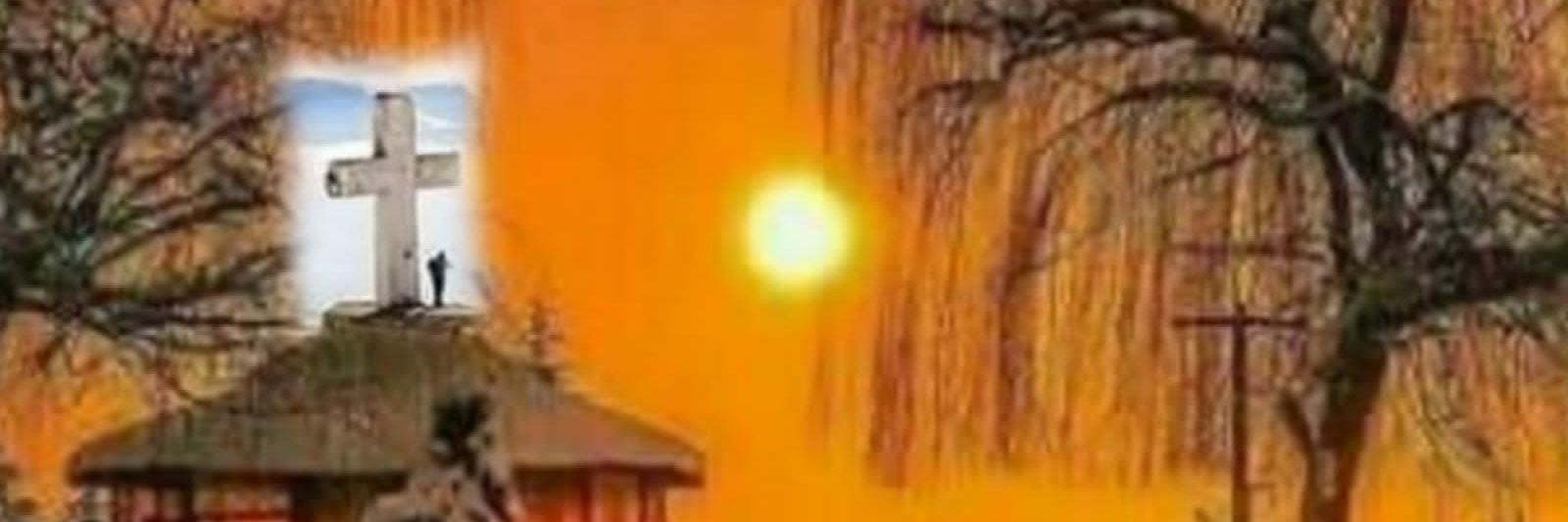 laylafares4's profile banner image