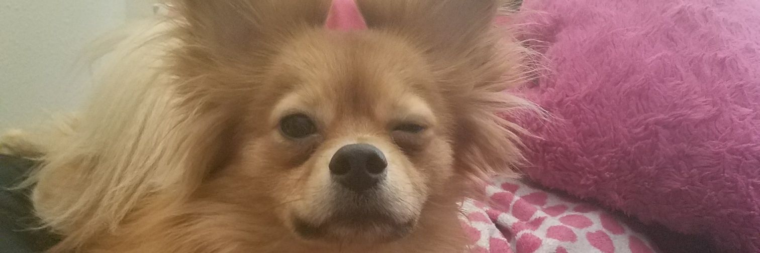 JessBritt92's profile banner image
