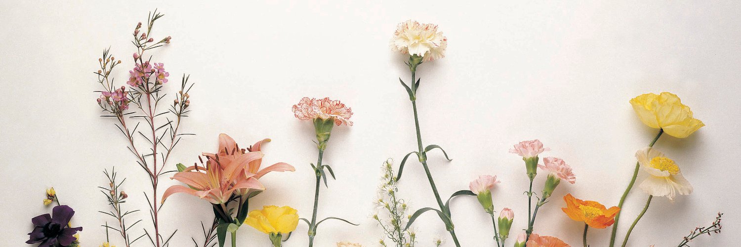 Amanda Borosh banner