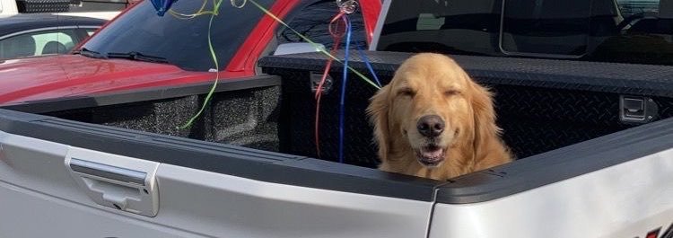 MarkBentlya's profile banner image