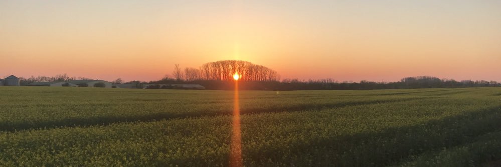 Alexis Mainard banner