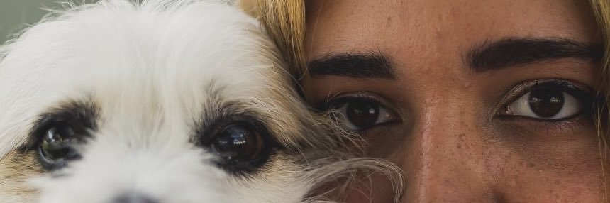 irenesandoval98's profile banner image