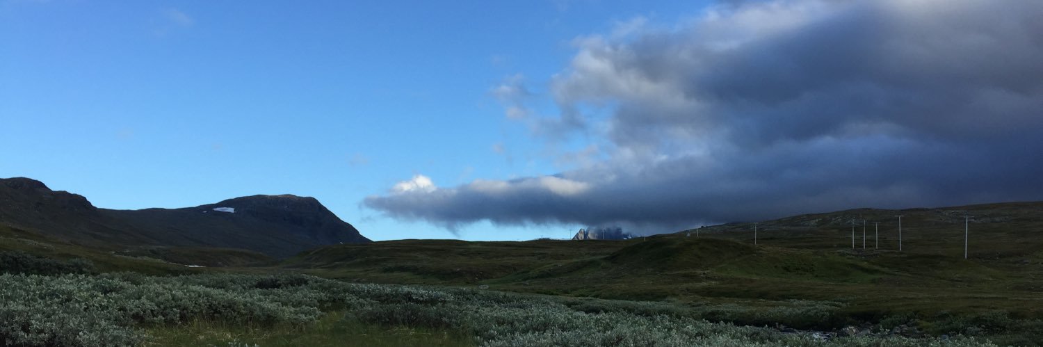 Kenneth Felldén banner