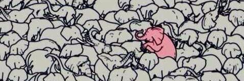 NicolePinilla's profile banner image