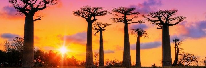 raj_itumb's profile banner image