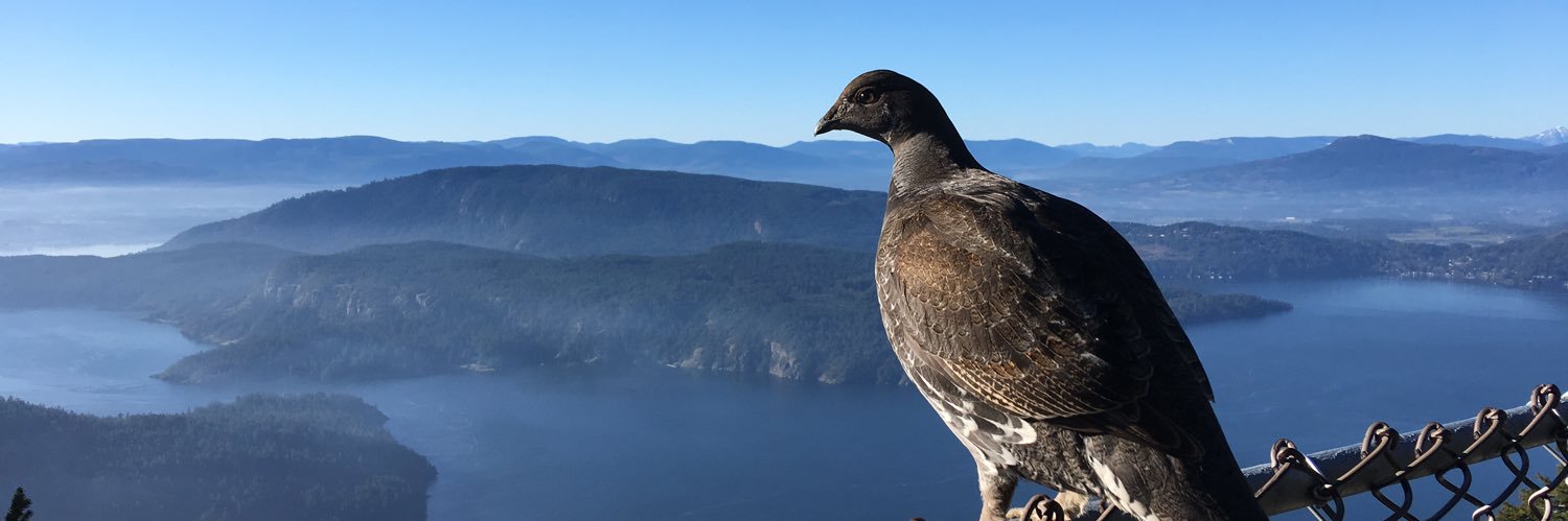 Penny Thompson banner