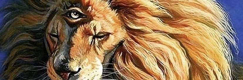 ezkingkong's profile banner image