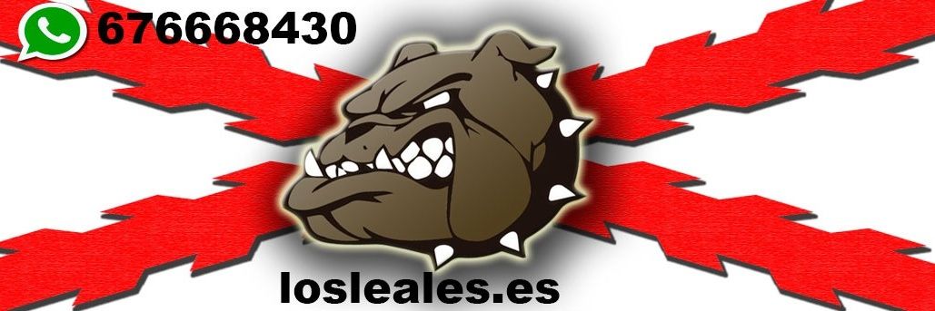 D50SL's profile banner image