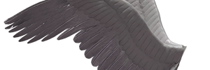 ohyestomwisdom's profile banner image