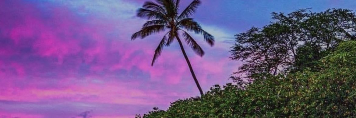 OfficialDustin's profile banner image