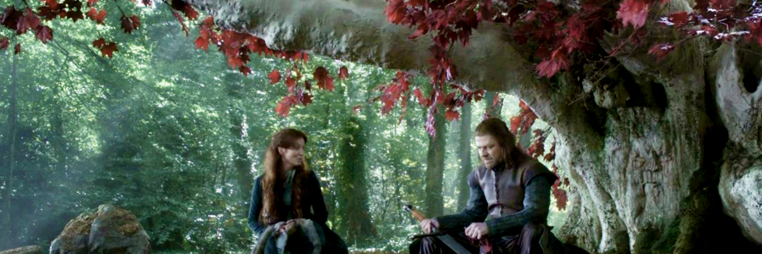 NedWinterfell's profile banner image