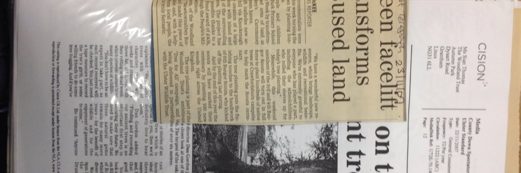 christine mackey banner