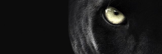 isaiahfemy's profile banner image