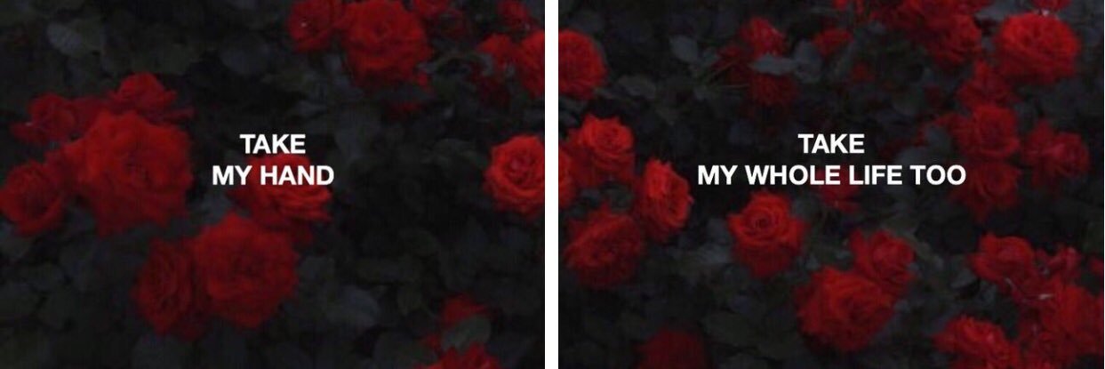 dvnnmknz's profile banner image