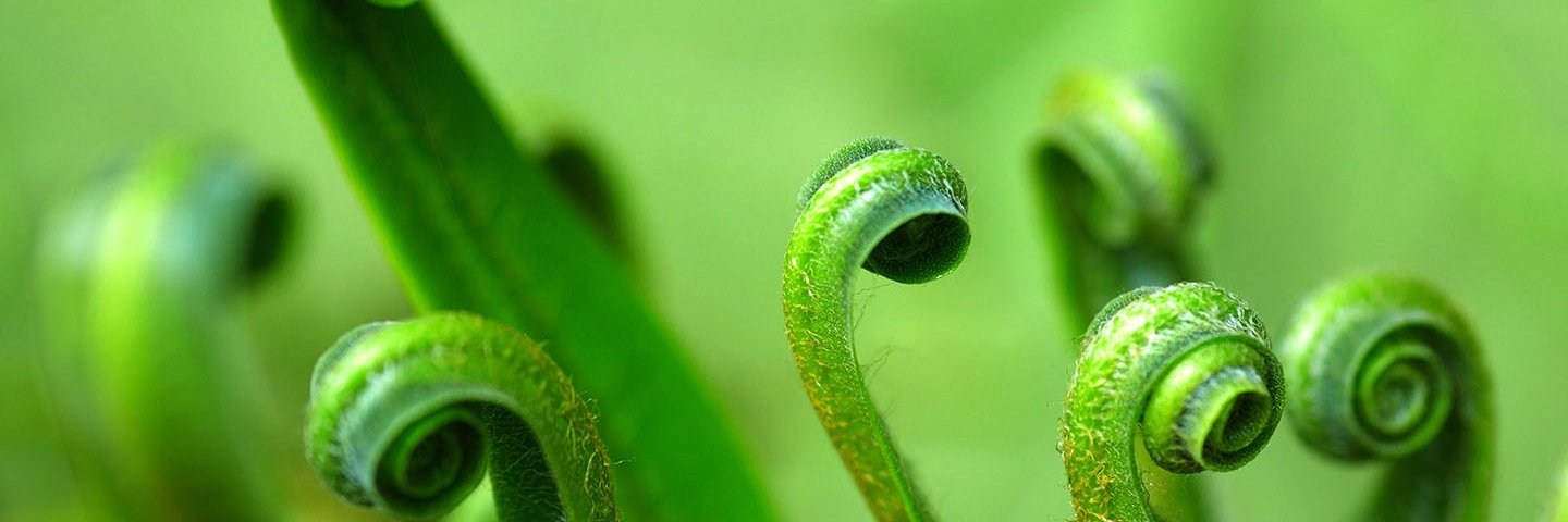 DownendScience's profile banner image