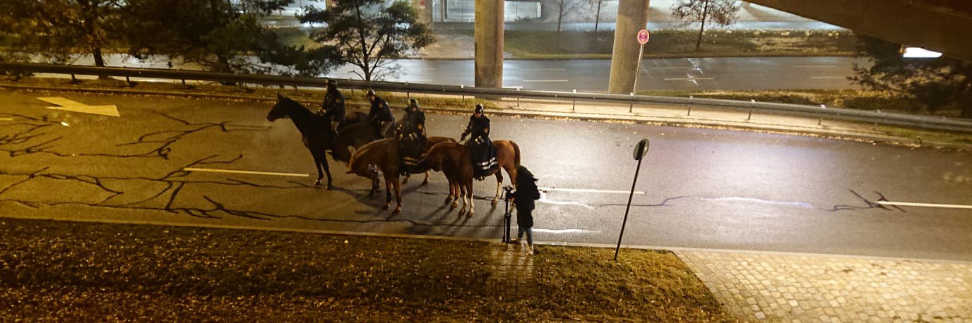 Julien Mechaussie banner