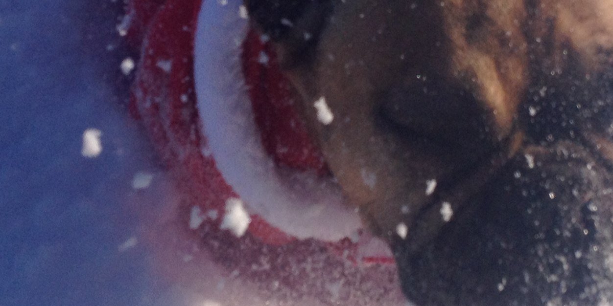 DOLLYBOOZE's profile banner image