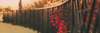 AnnaBalindy's profile banner image