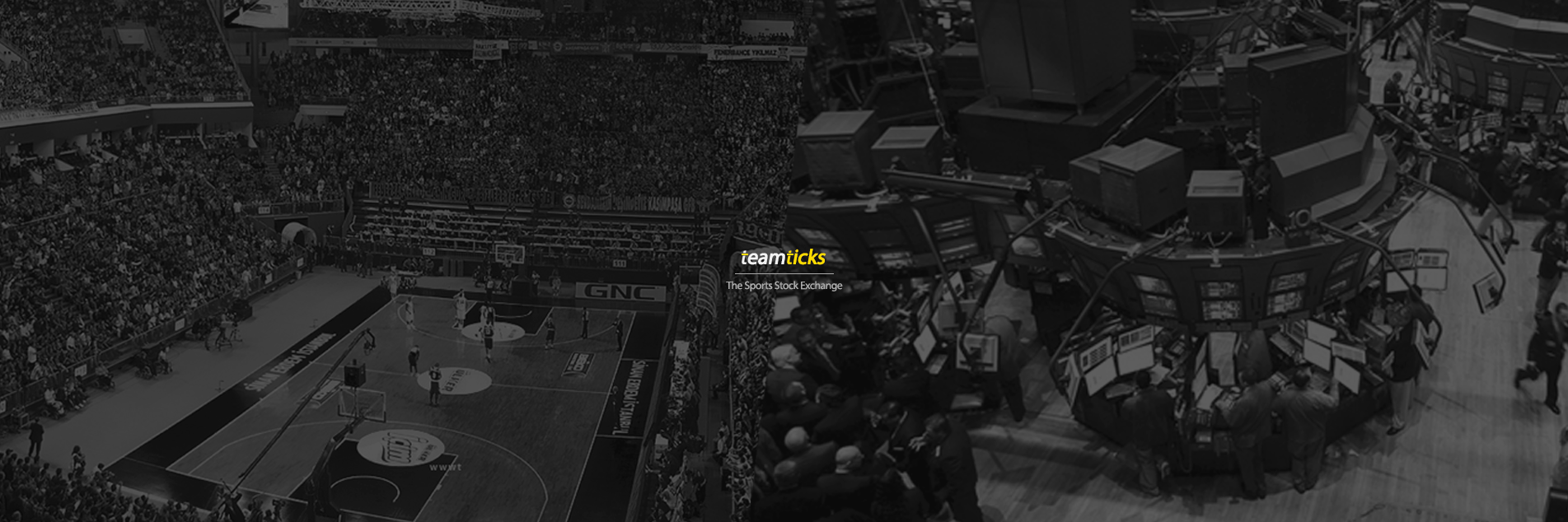 teamticks's profile banner image