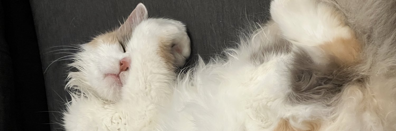 estefaniarhh's profile banner image