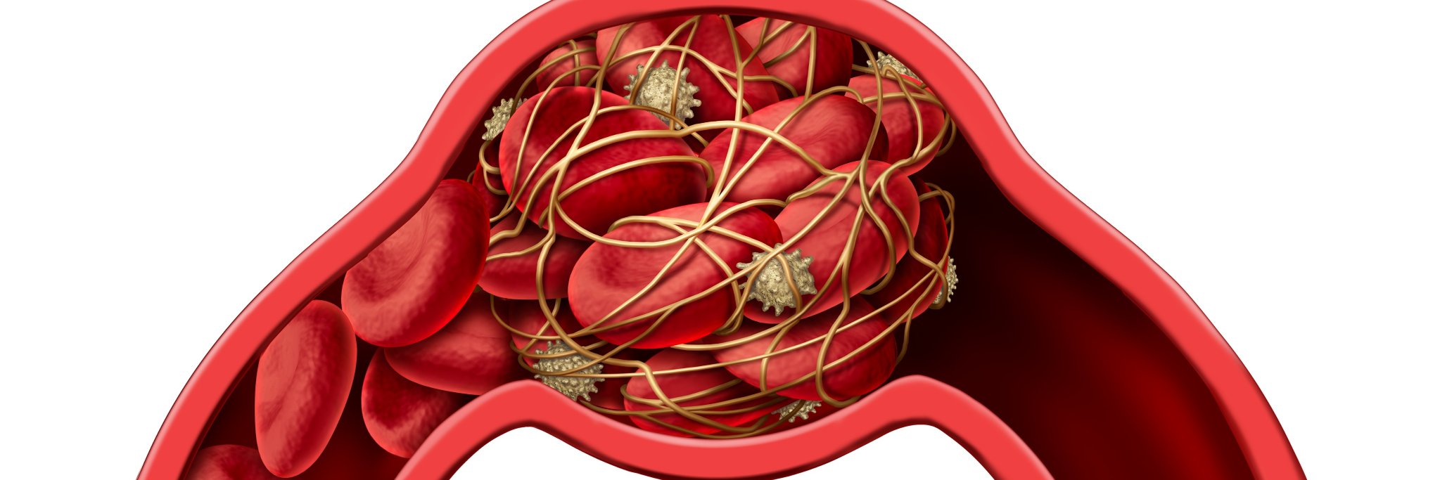 TREC_UiT's profile banner image